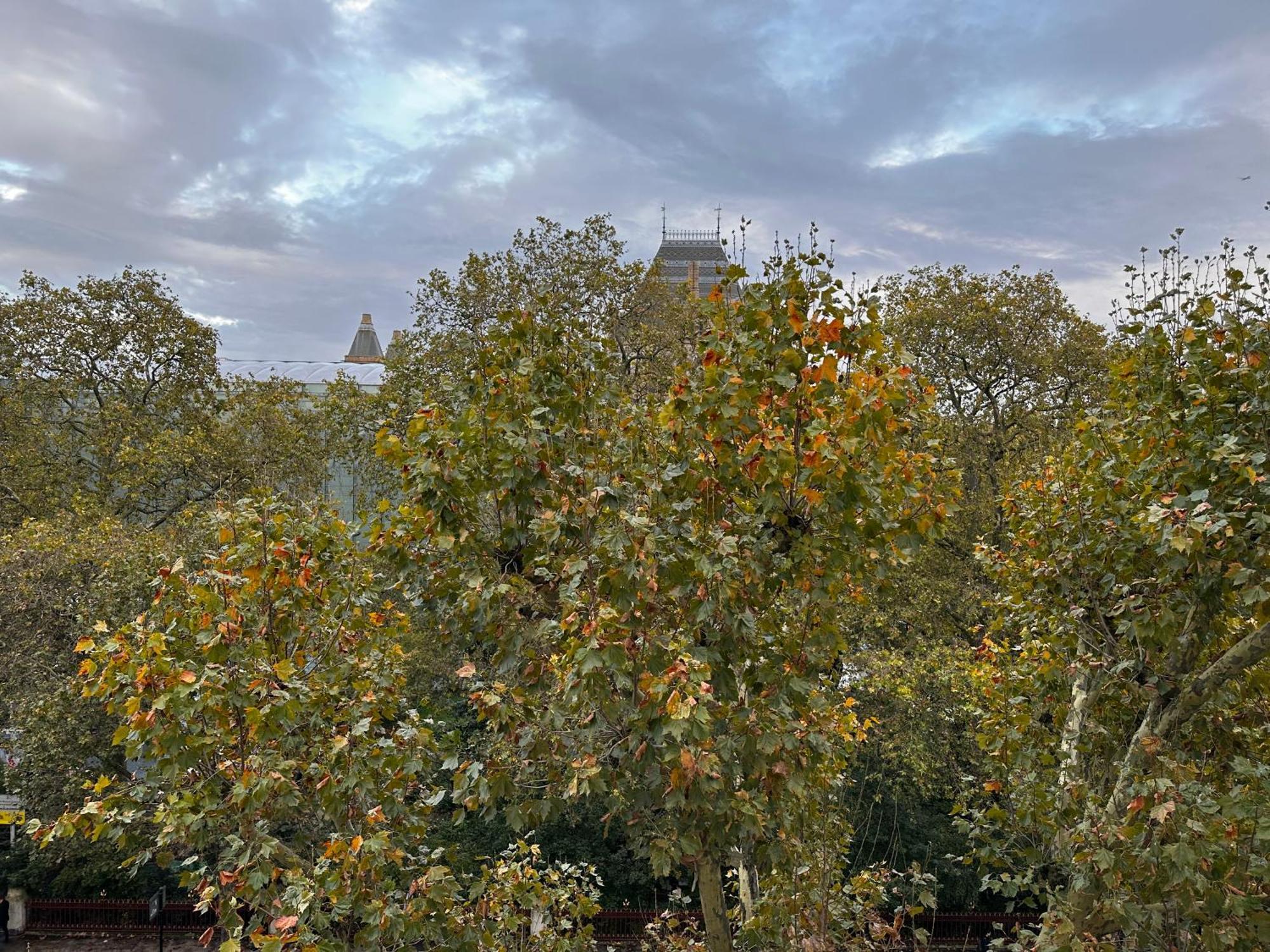 Renovu Premium Homes In Kensington Londres Exterior foto